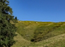 Loferer Alm 2021