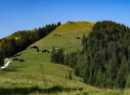 Loferer Alm 2021