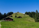 Loferer Alm 2021