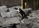 Hellbrunn 2022