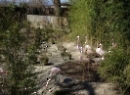 Hellbrunn 2022