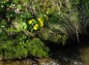 Fuschlsee April 2022