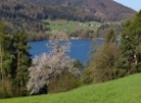 Fuschlsee 2022