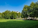 Hellbrunner Allee 2023