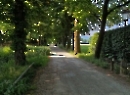 Hellbrunner Allee 2023