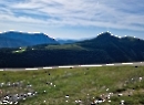 Trattbergalm Juli 2023