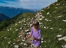 Trattbergalm 2023