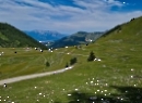 Trattbergalm Juli 2023