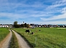 Eugendorf 2023