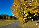 Seewaldsee November 2023