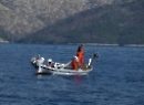 Segeln 2014