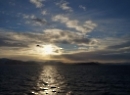 Hurtigruten 2015