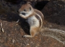 Fuerteventura 2016
