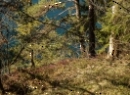 Fuschlsee 2019