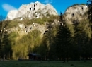 Bindalm 2019