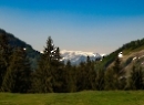 Feichtenstein 2019