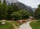 Klausbachtal 2019