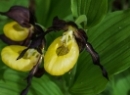 Klausbachtal 2019