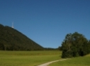 Nockstein 2019