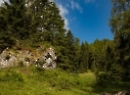 Filzmoosalm 2019