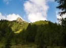 Filzmoosalm 2019