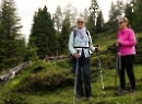 Filzmoosalm Juli 2019