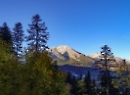 Büchsenalm 2019