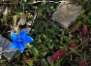 Genneralm 2019