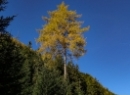 Wirpitschsee Oktober 2019