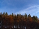 Fuschlsee 2019