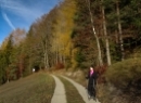 Fuschlsee 2019
