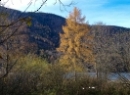 Fuschlsee November 2019