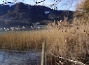 Fuschlsee 2020