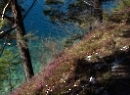 Fuschlsee 2020