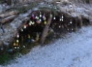 Altaussee 2020