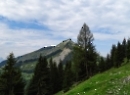 Ladenbergrunde 2020