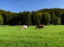 Fuschlsee 2020
