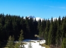 Seewaldsee 2021