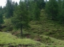 Nockberge 2021